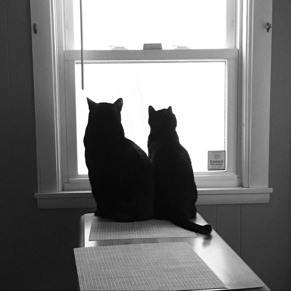 Meet your Posher, Erin - Picture 5 of 12